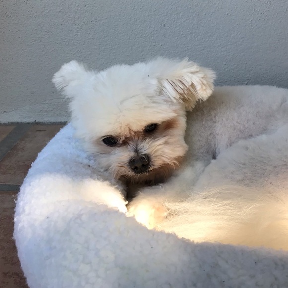 Meet your Posher, Cynthia - Picture 1 of 1